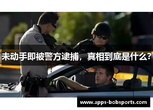 未动手即被警方逮捕，真相到底是什么？